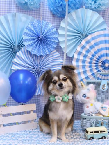 20231104あもちゃん